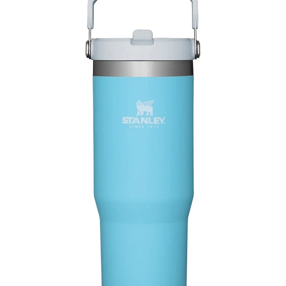 STANLEY IceFlow Stainless Steel Tumbler w Straw, Vacuum Insulated Water Bottle